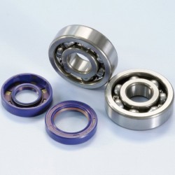 Kit rodamientos y retenes de cigüeñal POLINI motor Minarelli AM6