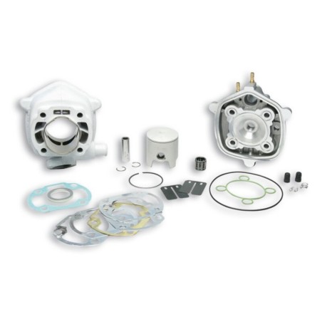 KIT Malossi MHR Ø47,6 allum. sp.Ø12 H2O 31 8460