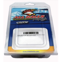 Kit de reparación de carburador ALL BALLS