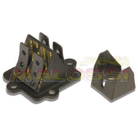 Caja láminas carbono Malossi MHR AEROX/NEOS/F12/F10/F15/KEEWAY/CPI 27 7731.C0