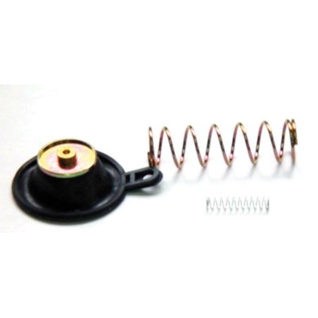 Kit Reparación bomba de enriquecimiento XV750 Virago '89-96 XV1100 Virago '88-96 ACV-203