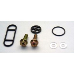 Kit Reparación grifo de gasolina KL600 KZ305 FCK-7