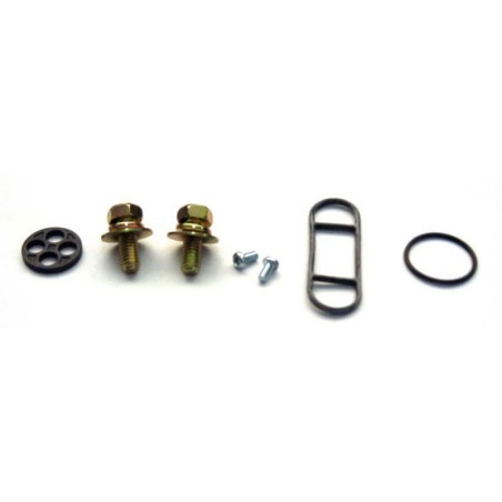 Kit Reparación grifo de gasolina KLX650 KDX FCK-19