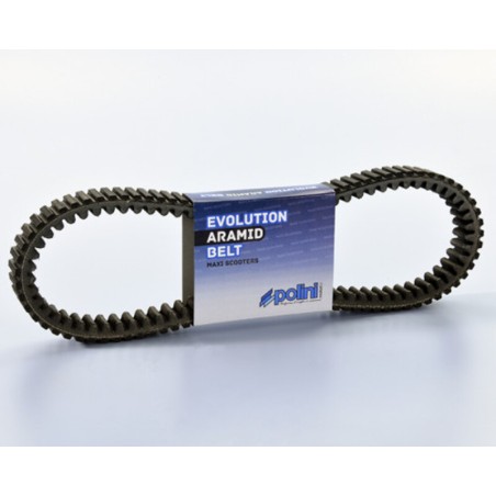 Correa de transmisión POLINI