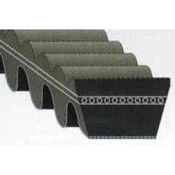 Correa de transmision BANDO Premium Variomatic