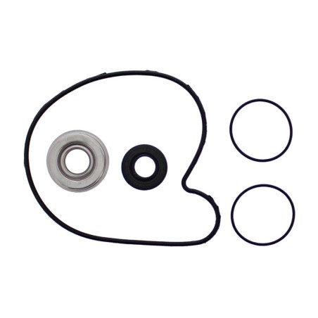 Kit de reparación de bomba de agua HOT RODS - Polaris