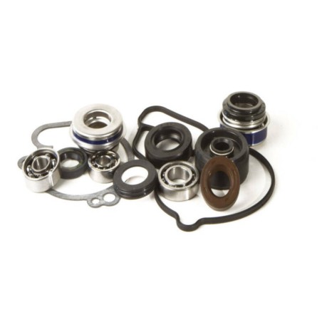 Kit reparación bomba de agua Hot Rods WPK0007