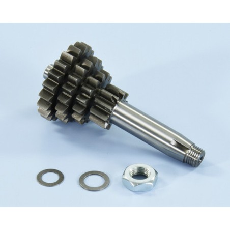 Desarrollo engranaje primario POLINI - Z14/10/17/20