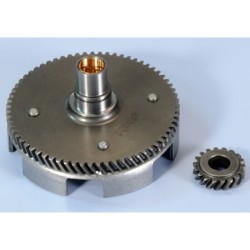 Desarrollo primario POLINI Z18-67