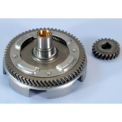 Desarrollo primario POLINI Z22-63