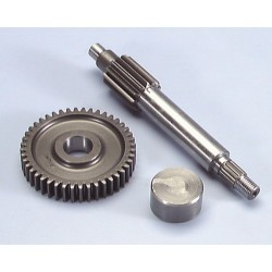 Desarrollo engranaje primario Polini Minarelli Yamaha 13/44