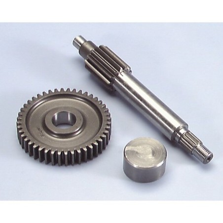 Desarrollo engranaje primario Polini Minarelli Yamaha 13/44