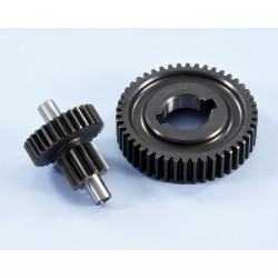 Desarrollo engranaje secundario POLINI - Z11-46