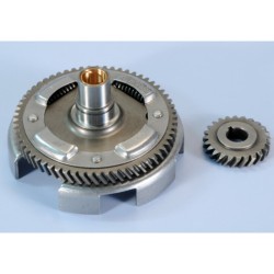 Desarrollo primario POLINI Z24-61