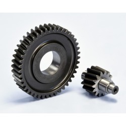 Desarrollo engranaje secundario POLINI - Z14-43