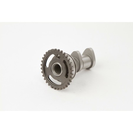 Arbol de levas HOT CAMS - Stage 1