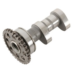 Arbol de levas HOT CAMS - Stage 2 Yamaha YZ450F 2