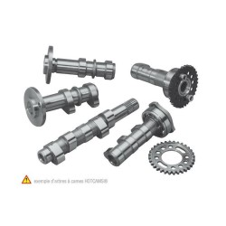 Arbol de levas HOT CAMS - Stage 2 Yamaha WR450F