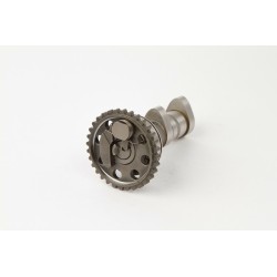 Arbol de levas HOT CAMS ESCAPE - Stage 1 Yamaha YZ450F