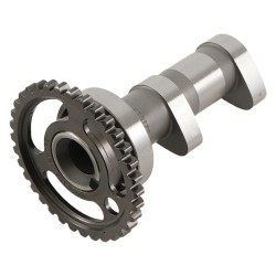 Arbol de levas HOT CAMS - Stage 1 Suzuki LT-R450 2