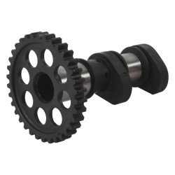 Arbol de levas HOT CAMS - Stage 2 2