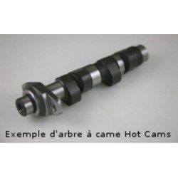 Arbol de levas HOT CAMS  - Stage 2 Polaris