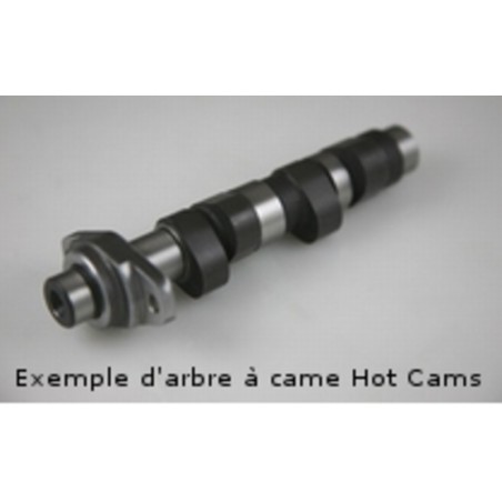 Arbol de levas HOT CAMS  - Stage 2 Polaris