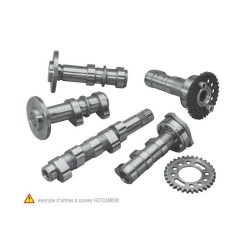 HOT CAMS Camshaft - Stage 2 Suzuki RM-Z450