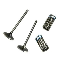 Kit de válvulas de escape WÖSSNER acero