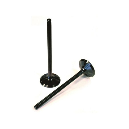 Válvula de admisión de titanio VERTEX