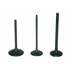 Válvula de escape de titanio VERTEX