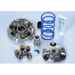 Variador Polini HI-SPEED PIAGGIO VESPA 125 4T 3V IE (241710)