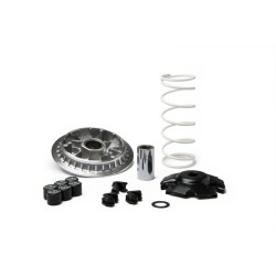 Variador MALOSSI Multivar 2000