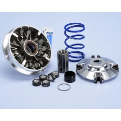 Variador Polini HI-SPEED KYMCO XCITING 400i 12 RODILLOS (241716)