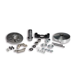 Variador MALOSSI Variotop