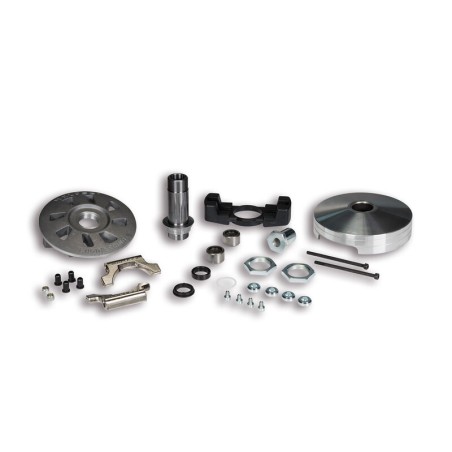 Variador MALOSSI Variotop