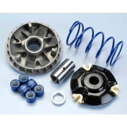 Variador Polini SUZUKI SIXTEEN 125/150 K8 (241686)