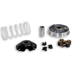 Variador Malossi Multivar 2000 Honda 100