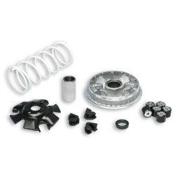 Variador Multivar Malossi SUZ. BURGMAN/EPICURO 125 SIXTEEN 125 5111324