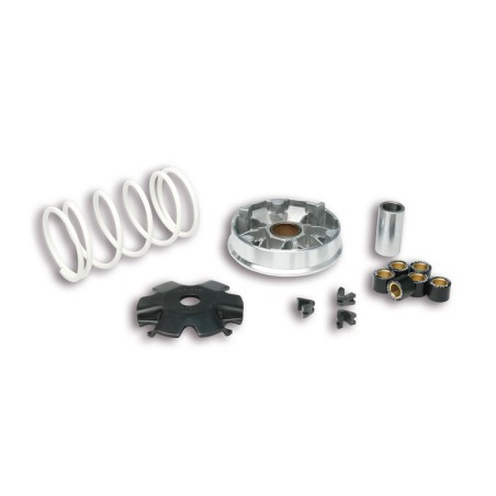 Variador MALOSSI Multivar