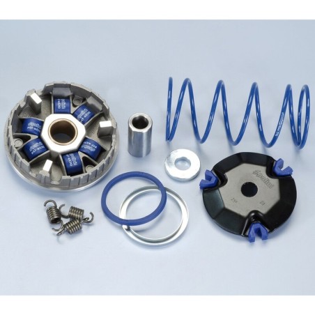 Variador Polini Hi-Speed MALAGUTI F12 (2000) (241675)