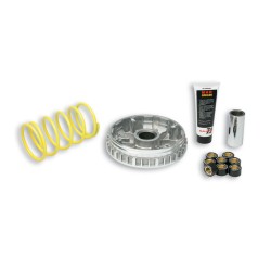 Variador Multivar Malossi Yamaha X-MAX 250/VERCITY MBK. KILIBRE/SKYCRUISER 5111225