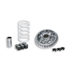 Variador Malossi Multivar Piaggio 500 Euro2/3