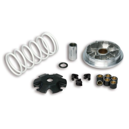 Variador Multivar Malossi PGT. TWEET/SPEEDFIGHT III SYM SYMPHONY 50 5114206