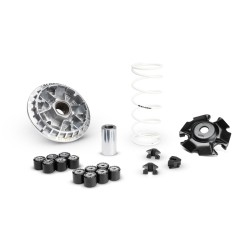 Variador MALOSSI Multivar 2000