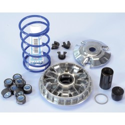 Variador Polini HI-SPEED PIAG. 200/250/300 9R. (241665)