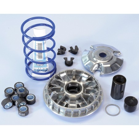 Variador Polini HI-SPEED PIAG. 200/250/300 9R. (241665)