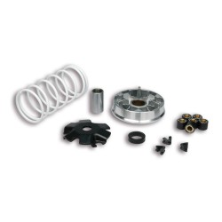 Variador Multivar Malossi KYMCO 2T AGILITY/DINK/SUPER8-9 51 9988