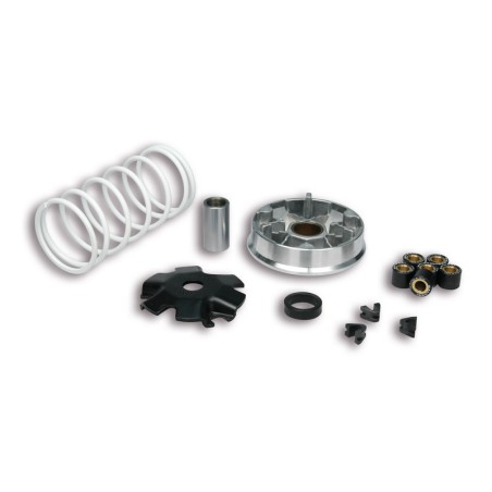 Variador Multivar Malossi KYMCO 2T AGILITY/DINK/SUPER8-9 51 9988