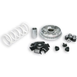 Variador Multivar Malossi HONDA S-WING/SH 125-08 KEEWAY OUTLOOK 125 5111572